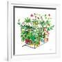 Greenhouse Blooming V-Farida Zaman-Framed Art Print