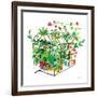 Greenhouse Blooming V-Farida Zaman-Framed Art Print