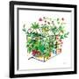 Greenhouse Blooming V-Farida Zaman-Framed Art Print