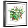 Greenhouse Blooming V-Farida Zaman-Framed Art Print