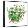 Greenhouse Blooming V-Farida Zaman-Framed Stretched Canvas