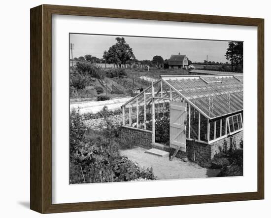 Greenhouse, Fox Ash-null-Framed Photographic Print