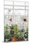 Greenhouse Glamour-Irene Suchocki-Mounted Giclee Print