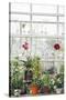 Greenhouse Glamour-Irene Suchocki-Stretched Canvas