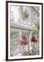 Greenhouse Grandeur-Irene Suchocki-Framed Giclee Print