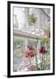 Greenhouse Grandeur-Irene Suchocki-Framed Giclee Print