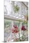 Greenhouse Grandeur-Irene Suchocki-Mounted Giclee Print