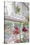 Greenhouse Grandeur-Irene Suchocki-Stretched Canvas