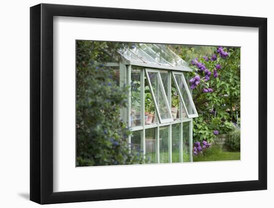 Greenhouse in Back Garden with Open Windows for Ventilation-Nosnibor137-Framed Photographic Print