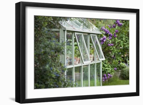 Greenhouse in Back Garden with Open Windows for Ventilation-Nosnibor137-Framed Photographic Print