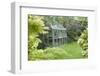 Greenhouse in Back Garden with Open Windows for Ventilation-Nosnibor137-Framed Photographic Print