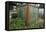 Greenhouse Made from Recycled Plastic Bottles-null-Framed Stretched Canvas