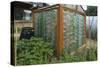 Greenhouse Made from Recycled Plastic Bottles-null-Stretched Canvas