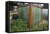 Greenhouse Made from Recycled Plastic Bottles-null-Framed Stretched Canvas