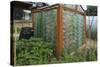 Greenhouse Made from Recycled Plastic Bottles-null-Stretched Canvas