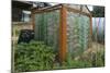 Greenhouse Made from Recycled Plastic Bottles-null-Mounted Photographic Print