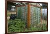 Greenhouse Made from Recycled Plastic Bottles-null-Framed Photographic Print