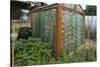 Greenhouse Made from Recycled Plastic Bottles-null-Stretched Canvas