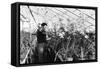 Greenhouse Nursery-null-Framed Stretched Canvas