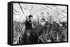 Greenhouse Nursery-null-Framed Stretched Canvas