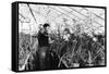 Greenhouse Nursery-null-Framed Stretched Canvas