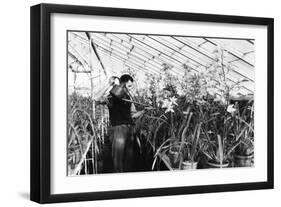 Greenhouse Nursery-null-Framed Photographic Print