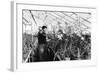 Greenhouse Nursery-null-Framed Photographic Print