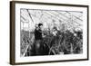 Greenhouse Nursery-null-Framed Photographic Print