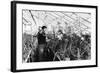 Greenhouse Nursery-null-Framed Photographic Print