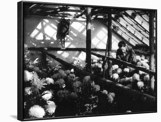 Greenhouse Nursery-null-Framed Photographic Print