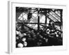 Greenhouse Nursery-null-Framed Photographic Print