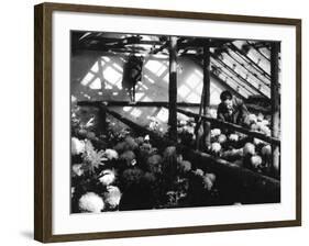 Greenhouse Nursery-null-Framed Photographic Print