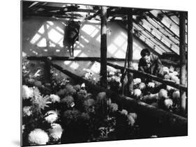 Greenhouse Nursery-null-Mounted Photographic Print