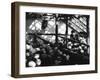 Greenhouse Nursery-null-Framed Photographic Print