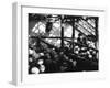 Greenhouse Nursery-null-Framed Photographic Print