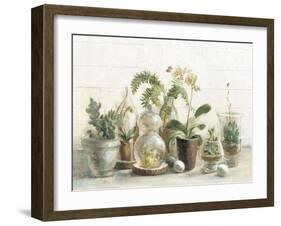 Greenhouse Orchids on Shiplap-Danhui Nai-Framed Art Print