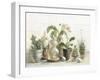 Greenhouse Orchids on Shiplap-Danhui Nai-Framed Art Print