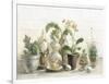 Greenhouse Orchids on Shiplap-Danhui Nai-Framed Art Print