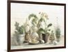 Greenhouse Orchids on Shiplap-Danhui Nai-Framed Art Print