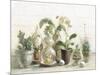 Greenhouse Orchids on Shiplap-Danhui Nai-Mounted Art Print