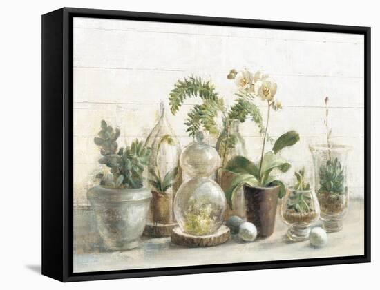 Greenhouse Orchids on Shiplap-Danhui Nai-Framed Stretched Canvas