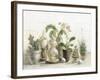 Greenhouse Orchids on Shiplap-Danhui Nai-Framed Art Print