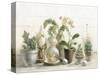 Greenhouse Orchids on Shiplap-Danhui Nai-Stretched Canvas