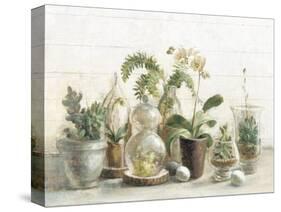 Greenhouse Orchids on Shiplap-Danhui Nai-Stretched Canvas