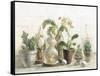 Greenhouse Orchids on Shiplap-Danhui Nai-Framed Stretched Canvas