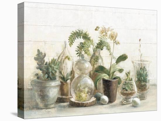 Greenhouse Orchids on Shiplap-Danhui Nai-Stretched Canvas