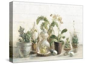 Greenhouse Orchids on Shiplap-Danhui Nai-Stretched Canvas