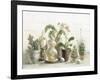 Greenhouse Orchids on Shiplap-Danhui Nai-Framed Art Print