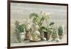 Greenhouse Orchids on Wood v2-Danhui Nai-Framed Art Print