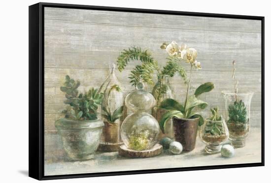 Greenhouse Orchids on Wood v2-Danhui Nai-Framed Stretched Canvas